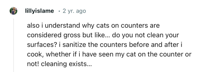 “I understand why cats on counters are considered gross, but like… do you not clean your surfaces?”