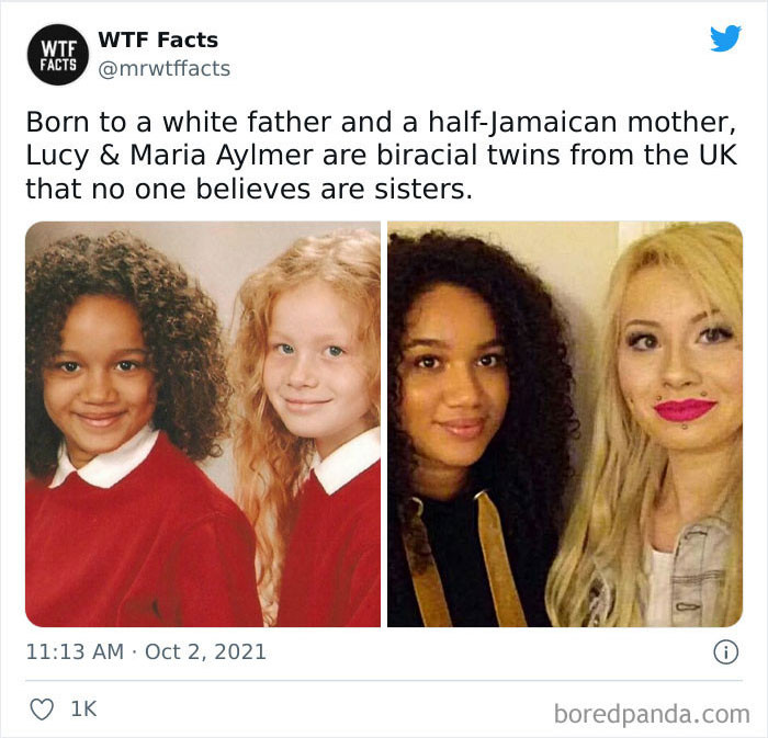 17. Beautiful biracial twins