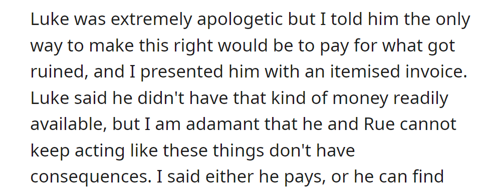 Luke apologized; OP handed him an invoice for damages. He claims to have no money, but consequences can't keep getting a rain check.