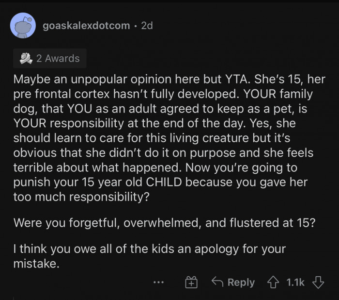 Fifteen-year-olds don't have a fully developed frontal cortex.