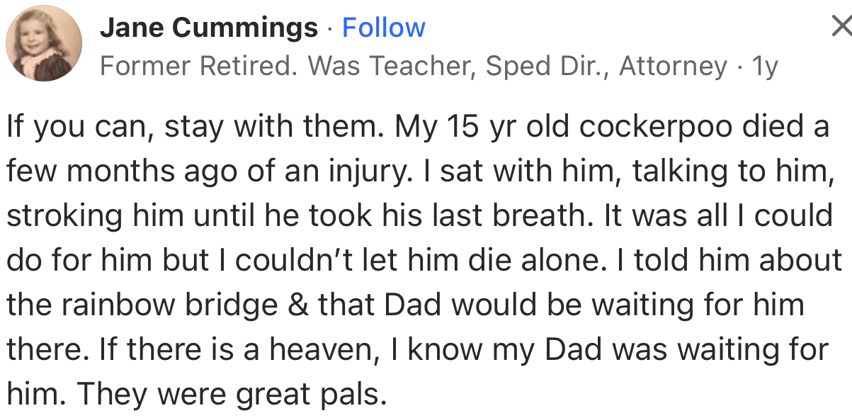 “My 15-year-old cockerpoo died a few months ago from an injury. I sat with him, talking to him and stroking him until he took his last breath.”