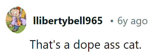 That cat's got more swag than a runway model!