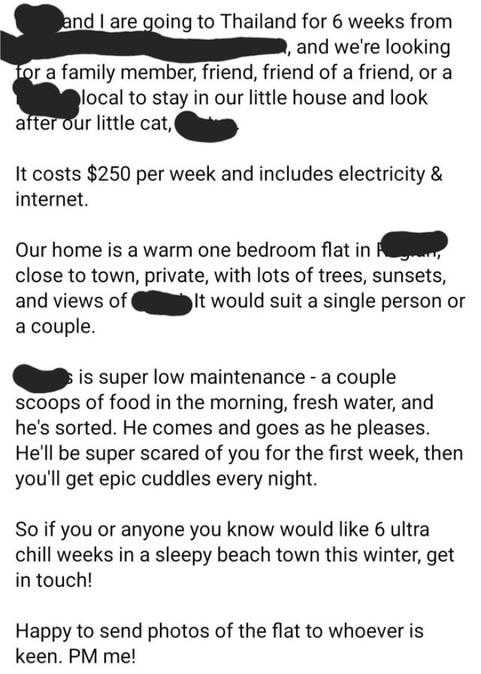 Any takers in the audience? Sleepy beach town in the dead of winter! Potentially hostile cat! Just $250/week!