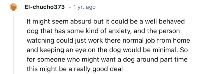 “For someone who might want a dog around part-time, this might be a really good deal.”