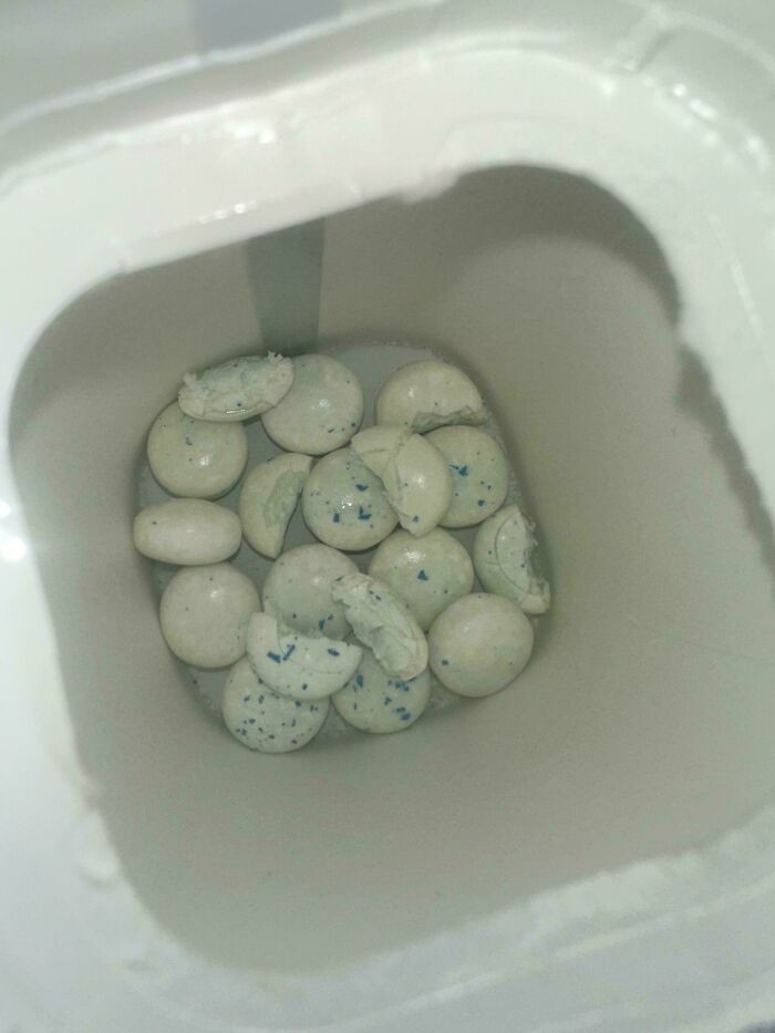"My Boyfriend Takes Half Pieces Of The Mentos Gum Because The Whole Ones Are 'Too Strong'"