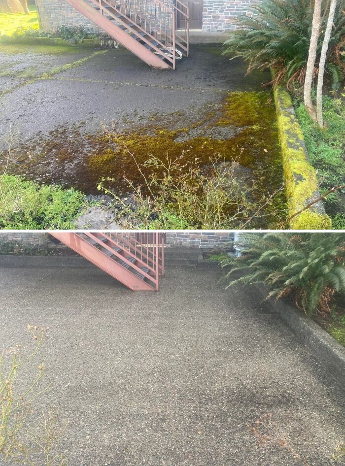 "Super Mossy Patio Job Today"