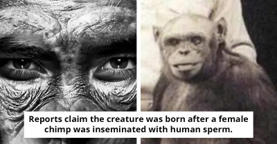 Scientist Reveals That Researchers Secretly Created a Human-Chimp Hybrid Before Killing It Due to Ethical Concerns