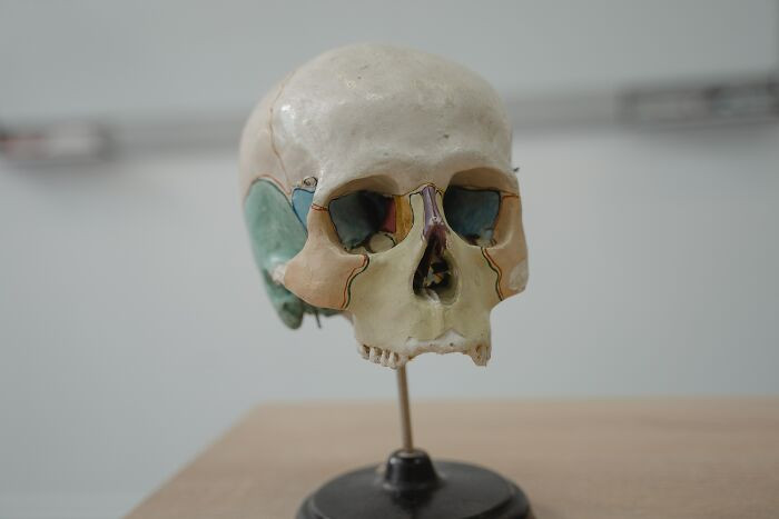 13. If you get hit hard enough in that spot on the back of your head where your spine connects to your skull, you die instantly.