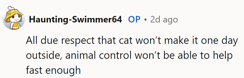 With all due respect, that cat won't last a day outside—animal control can't save it fast enough.