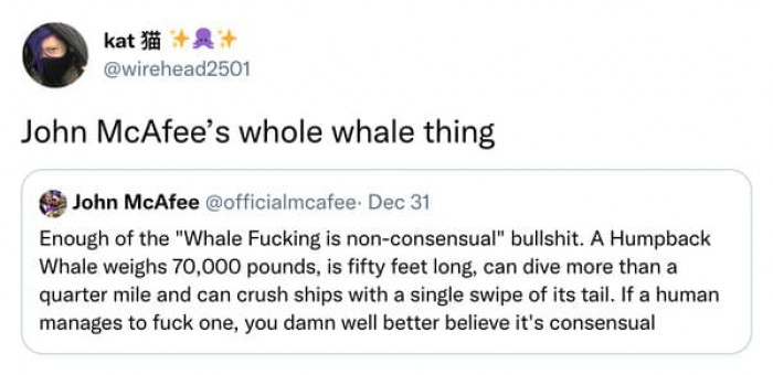 25. The whole whale thing