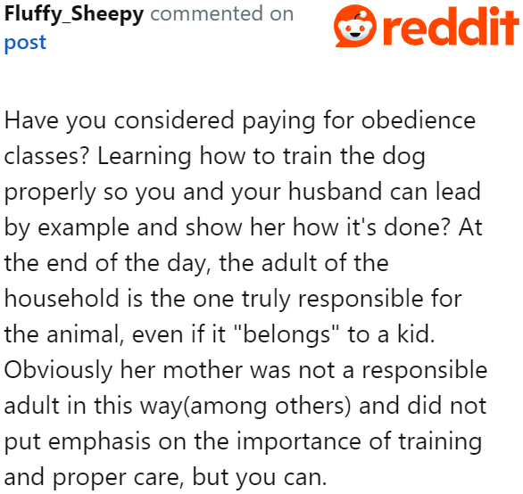 The OP Should Try Training the Dog First Before Giving It Up.