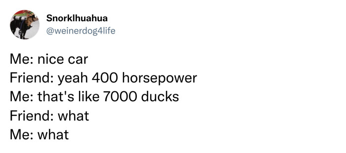 2. Duckpower