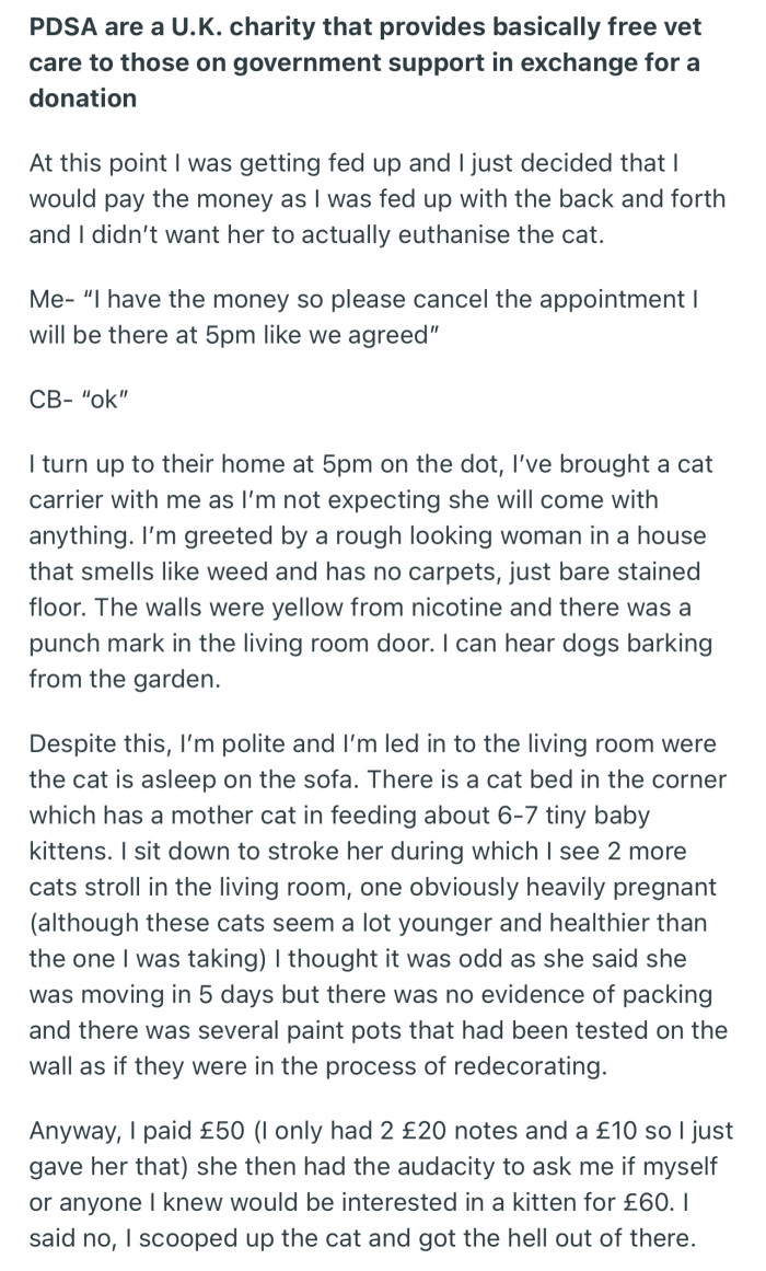 OP Ended Up Paying £50 for the Cat, and It Was Clear That the Cat Owner Had Lied About Moving