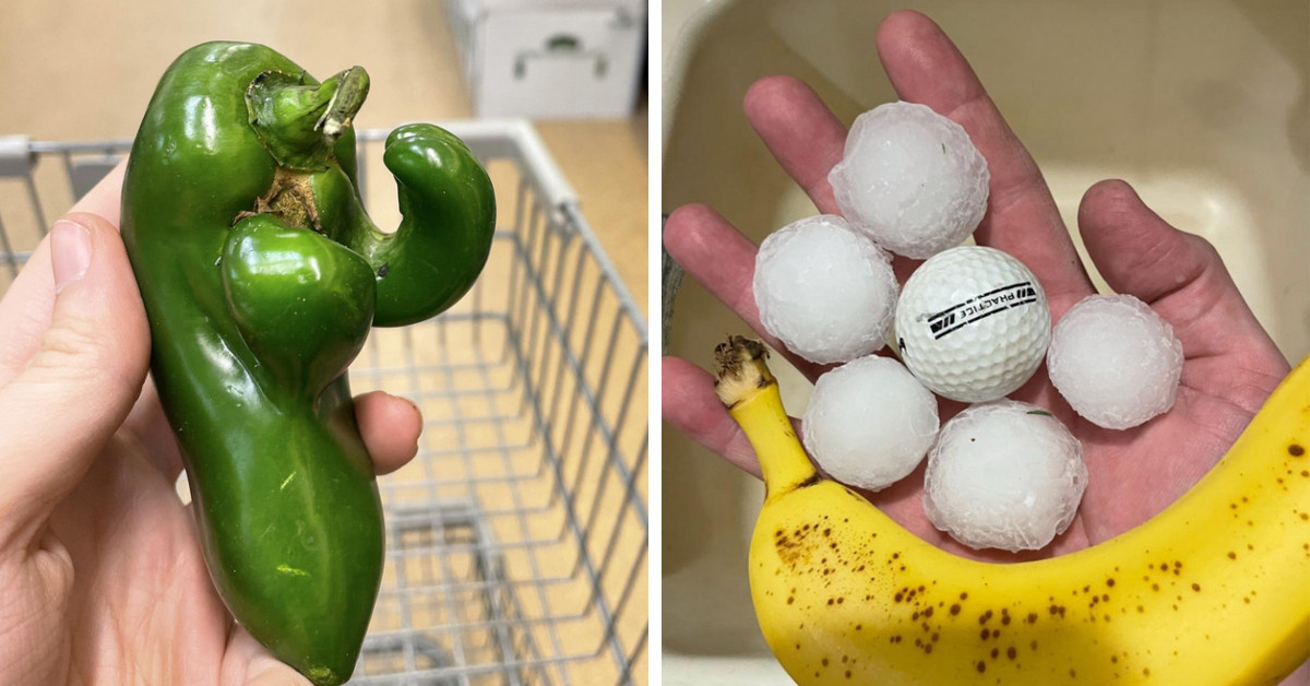 20 Interesting Examples Of Nature's Mysteries People Were Shocked To Stumble Upon