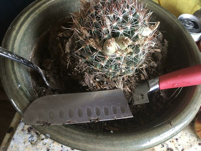 "The Husband Used My Favorite Knife As A Garden Tool"