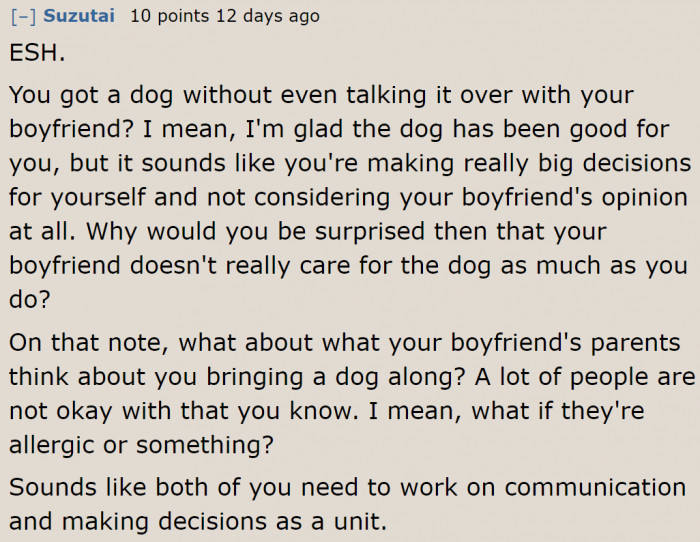 It's better to ask the host if bringing a dog along is okay.