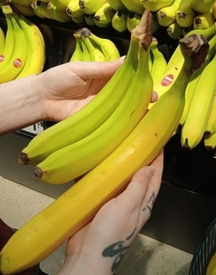 10. This banana looks like it came from another planet: