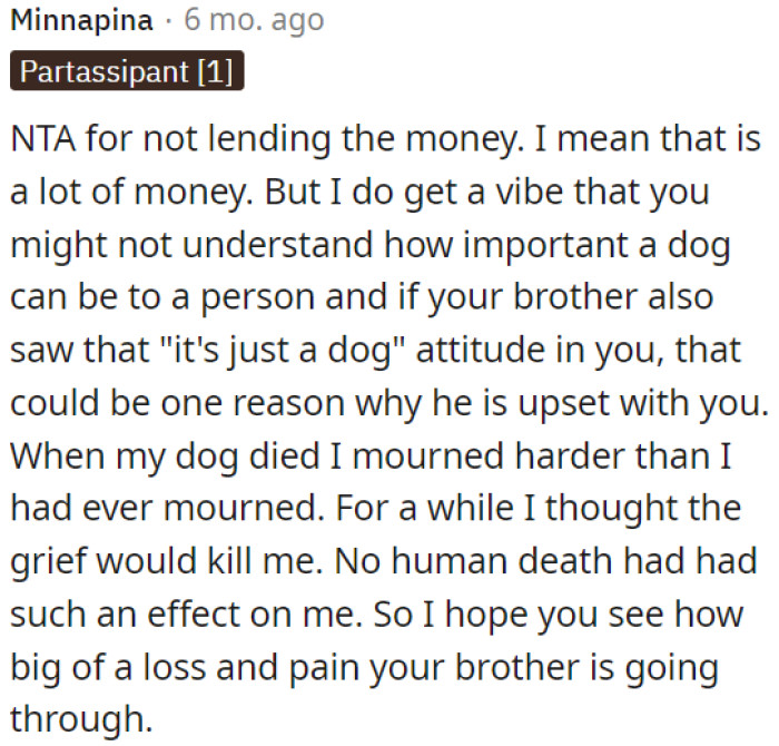 Losing a beloved pet can be incredibly painful, sometimes even more so than losing a human loved one.