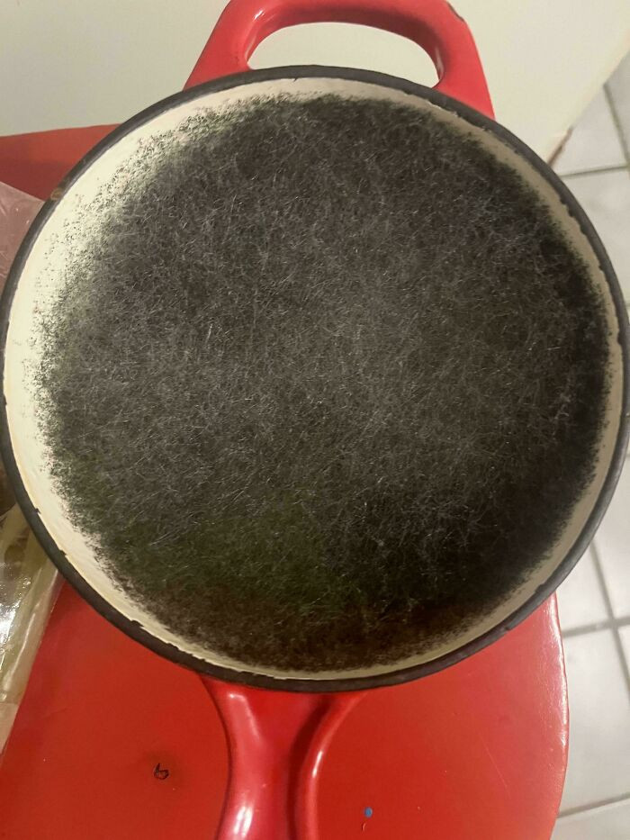 "My Wife Forgot About A Pot Of Rice For About Two Weeks"