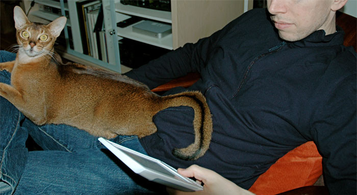 Many people suggested that Amazon should implement stricter restrictions on what can be returned. This includes books that are still unread or were accidentally purchased.