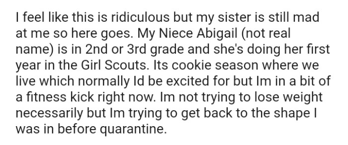 The OP Shares That the Sister Is Still Angry About Their Actions