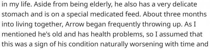 OP has an elderly dog, Arrow. He adopted Arrow from the pound 10 years ago