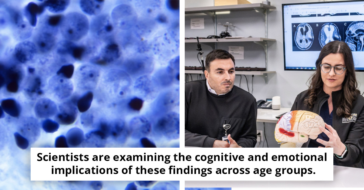 New Study Unveils Precise Age When Our Brain Reaches Its Peak Performance