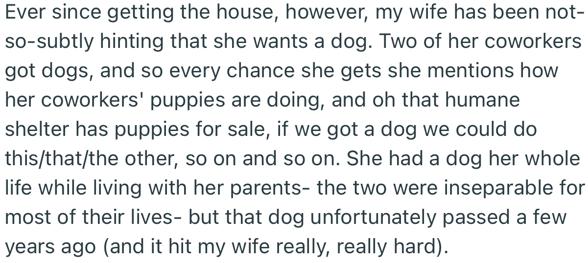 Ever since the couple got a house, wifey has been hinting that she wants a dog