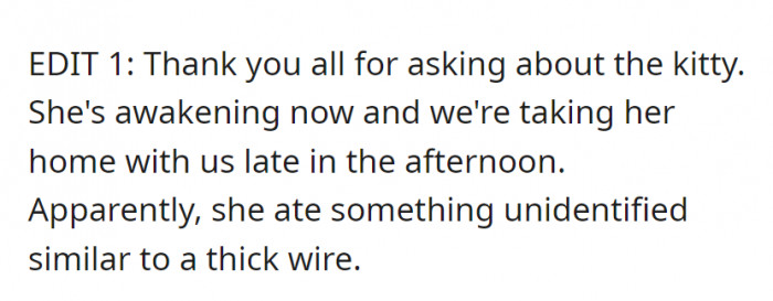 Fortunately, it seems like the feline is fine now!