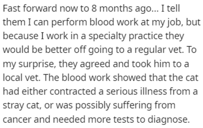 OP told her parents to get blood work done for the cat, and it showed that it had a serious illness