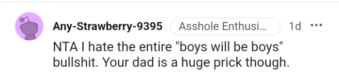 Your Dad Is the AH Here for Saying That Boys Will Be Boys