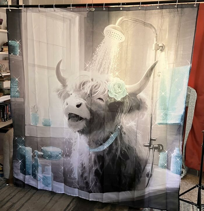 "Highland Cow Shower Curtain"