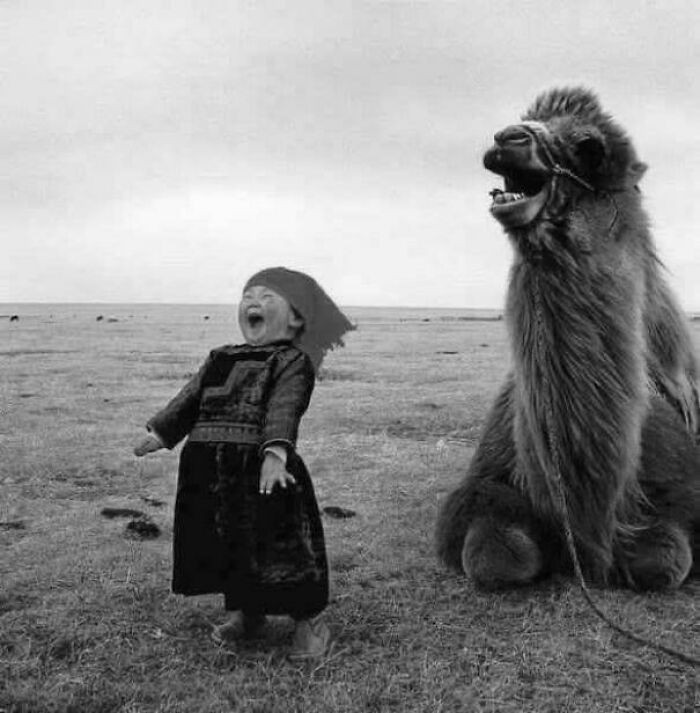 A young Mongolian girl shares a happy moment with her camel, both looking like they’re in on the same joke.