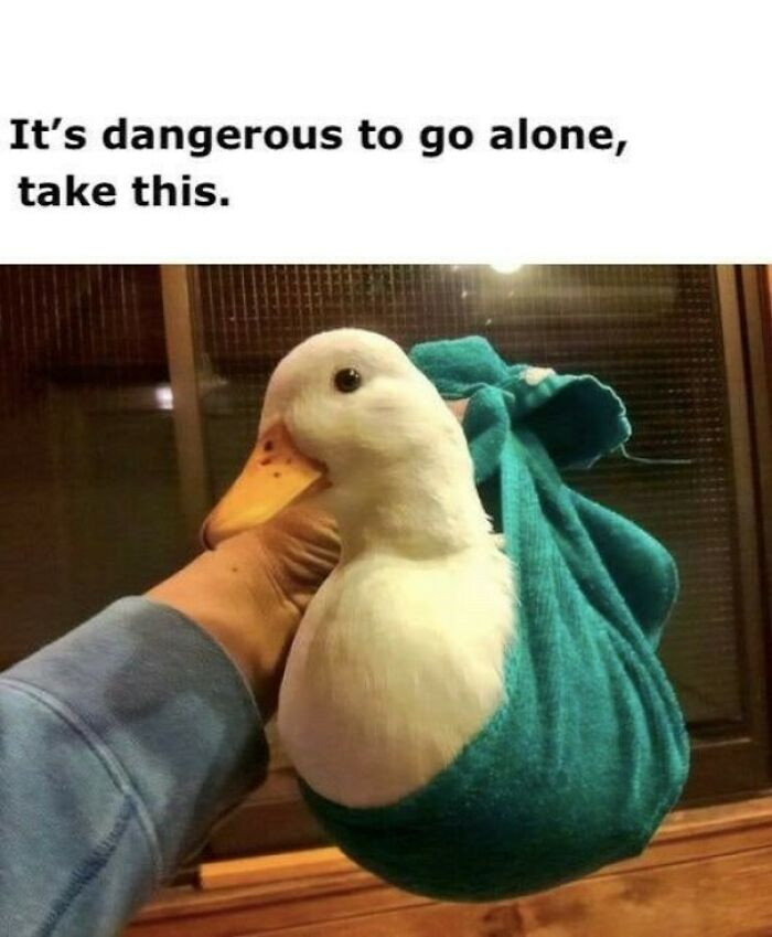 13. The Magnificent Duck The Symbol Of Cuteness And Luck +20% Mob Drops +15% Finding Rare Items In Dungeon Chests And +20% Movement Speed When In Water