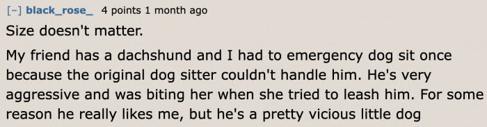 Even small dogs can be dangerous to people.