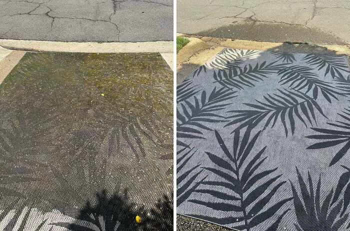 "Cleaning The Outdoor Carpet"