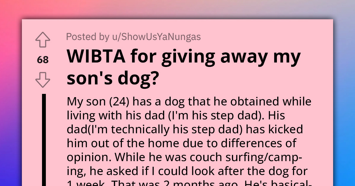 Redditor Wants To Rehome Son's Dog That's Been Under His Care For Months Instead Of Agreed Few Days