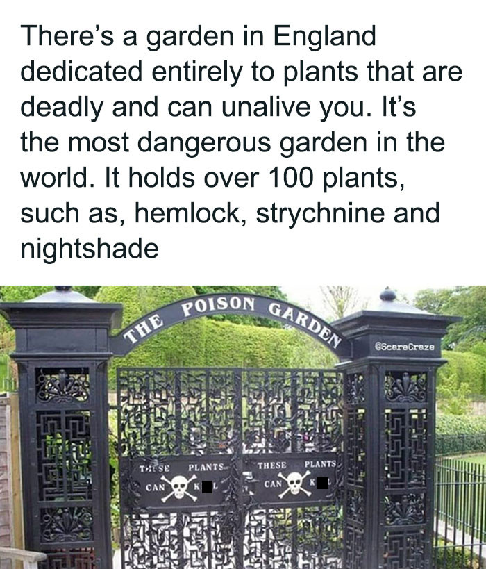 10. Did You Know That...