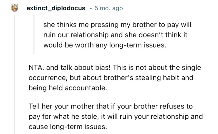 “NTA…This is not about the single occurrence, but about the brother's stealing habit and being held accountable.”