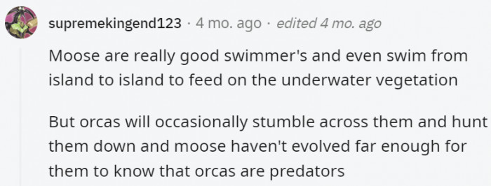 35. So this fact is saying that moose are still a little dumb?