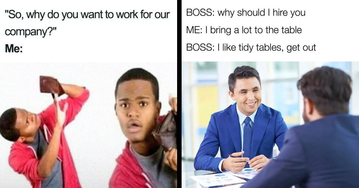 Hilarious Memes That Nail The Struggles And Frustrations Of Modern Day Job-Hunting