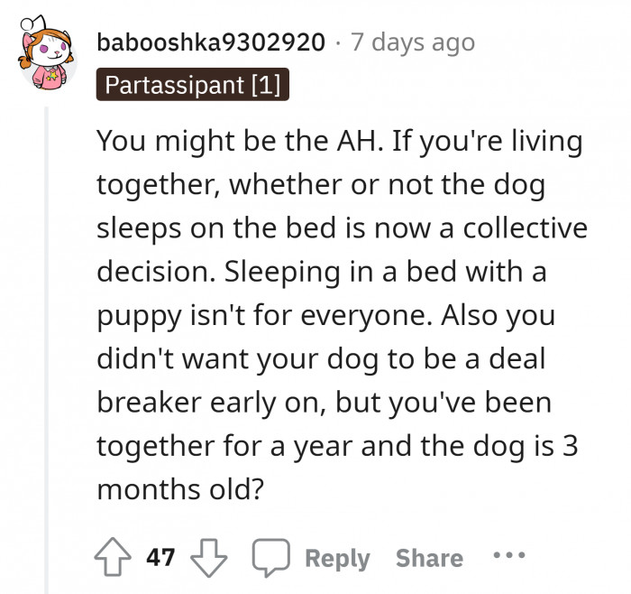Better to put your dog in training for you to easily deal with his stubbornness.