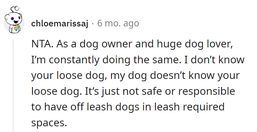 Canine meet-cutes should be on a leash!