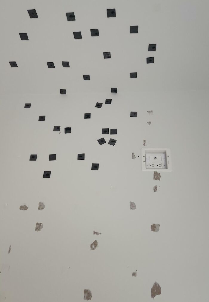 "Roommate Left This On The Wall When They Moved Out"
