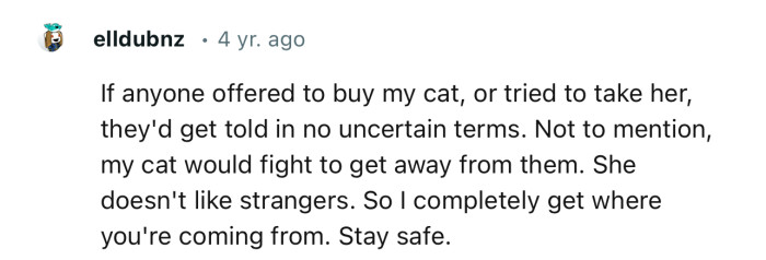 This Redditor’s cat would never agree to go home with a stranger, even if they sold her