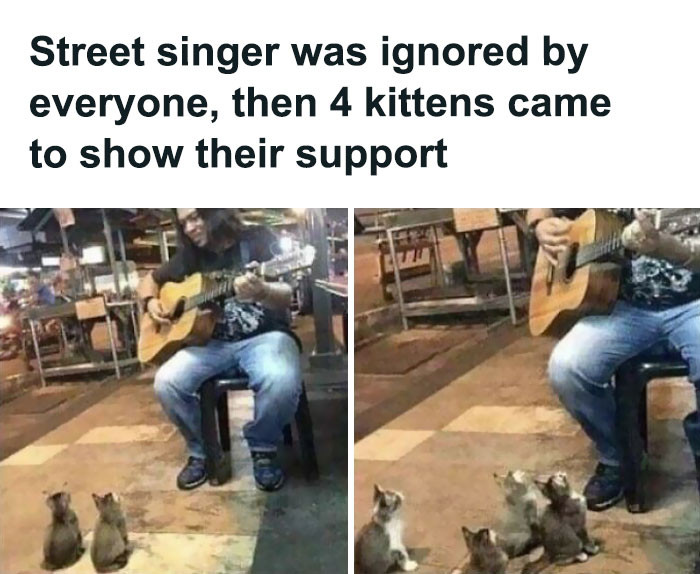 5. Kittens to the rescue