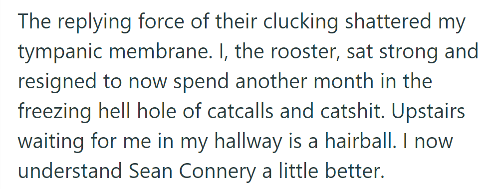 Their clucking criticism deafened OP. Resigned, OP braced for another month in the chaotic, cat-filled house.