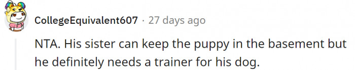 That dog needs training