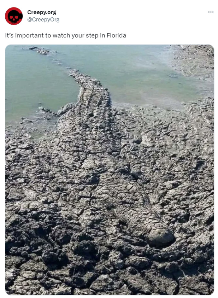 14. Best not to go to Florida in general