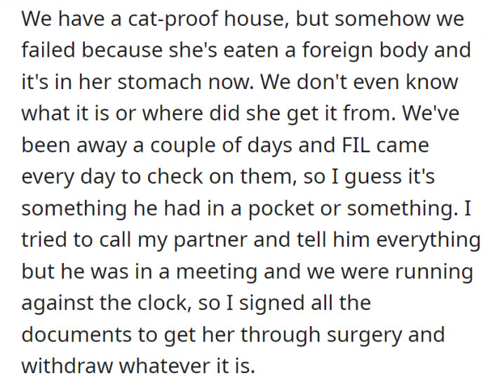 Apparently, the cat must have eaten something strange, and OP had no idea why it was vomiting and spitting out blood. She did try to call her partner, but she was unable to reach him because he was in a meeting.